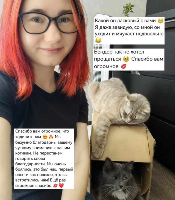 Отзыв о работе котоняни