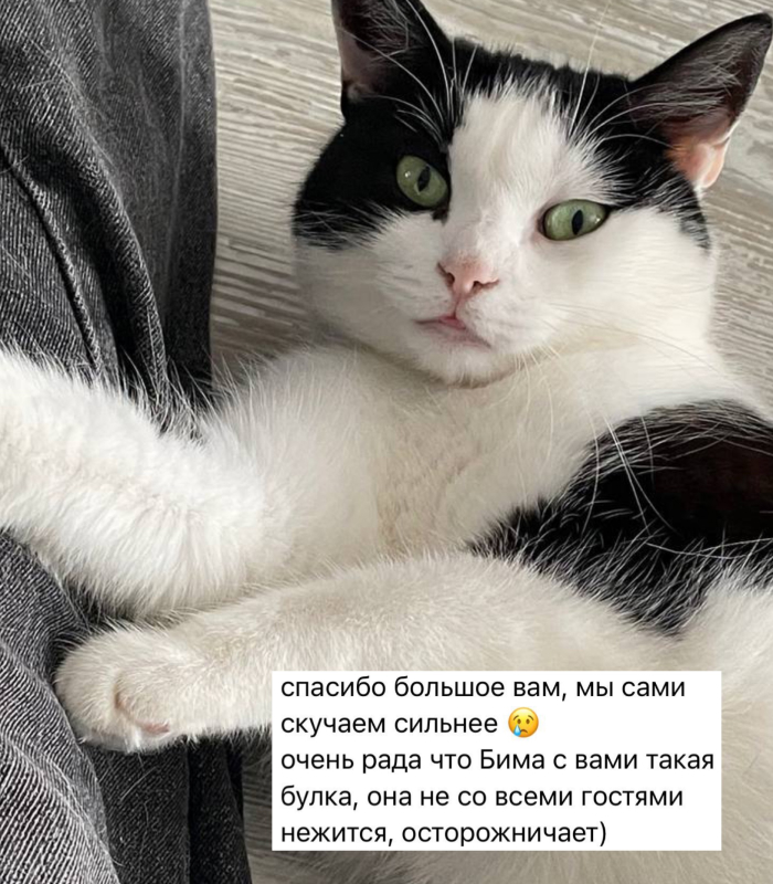 Отзыв о работе котоняни