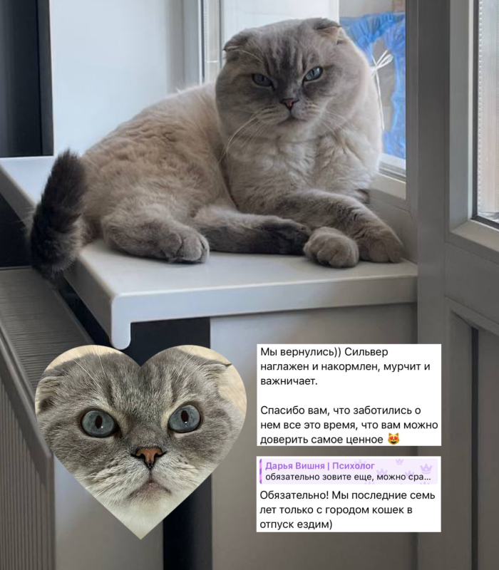 Отзыв о работе котоняни